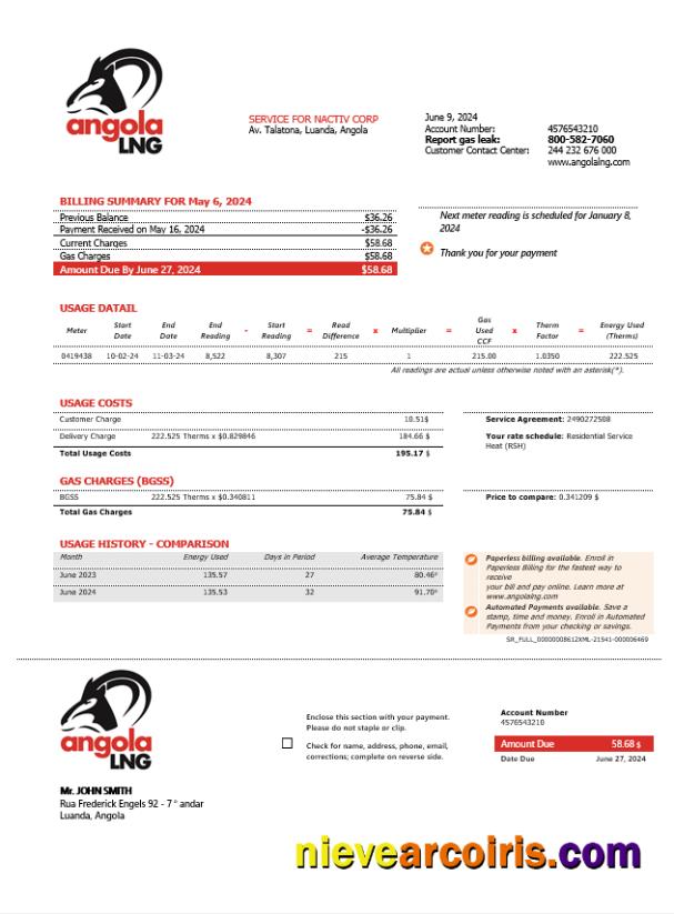 Angola LNG proof of address business utility bill